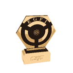 تندیس-EGFI